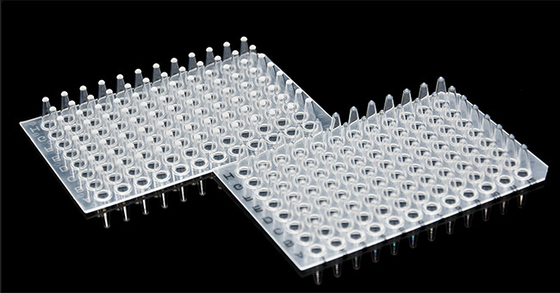 مواد مصرفی PCR بدون حاشیه 0.1 میلی لیتر پلیت PCR 96 چاه برای آزمایشگاه